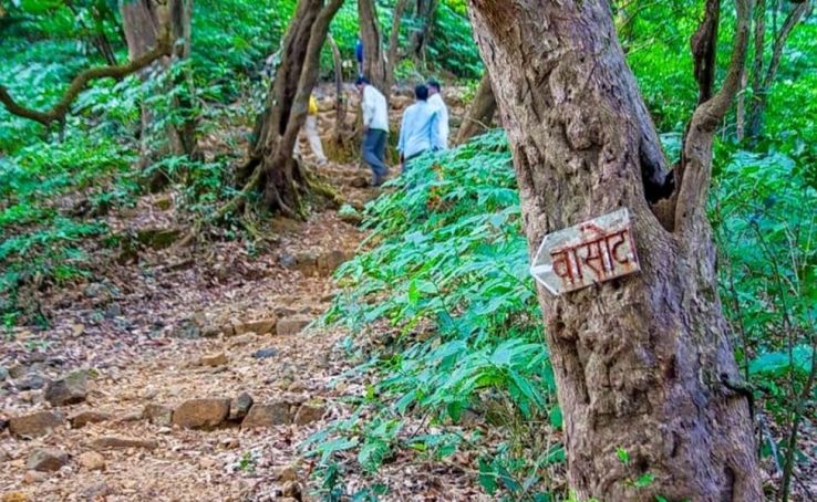 Vasota Trek and Camping