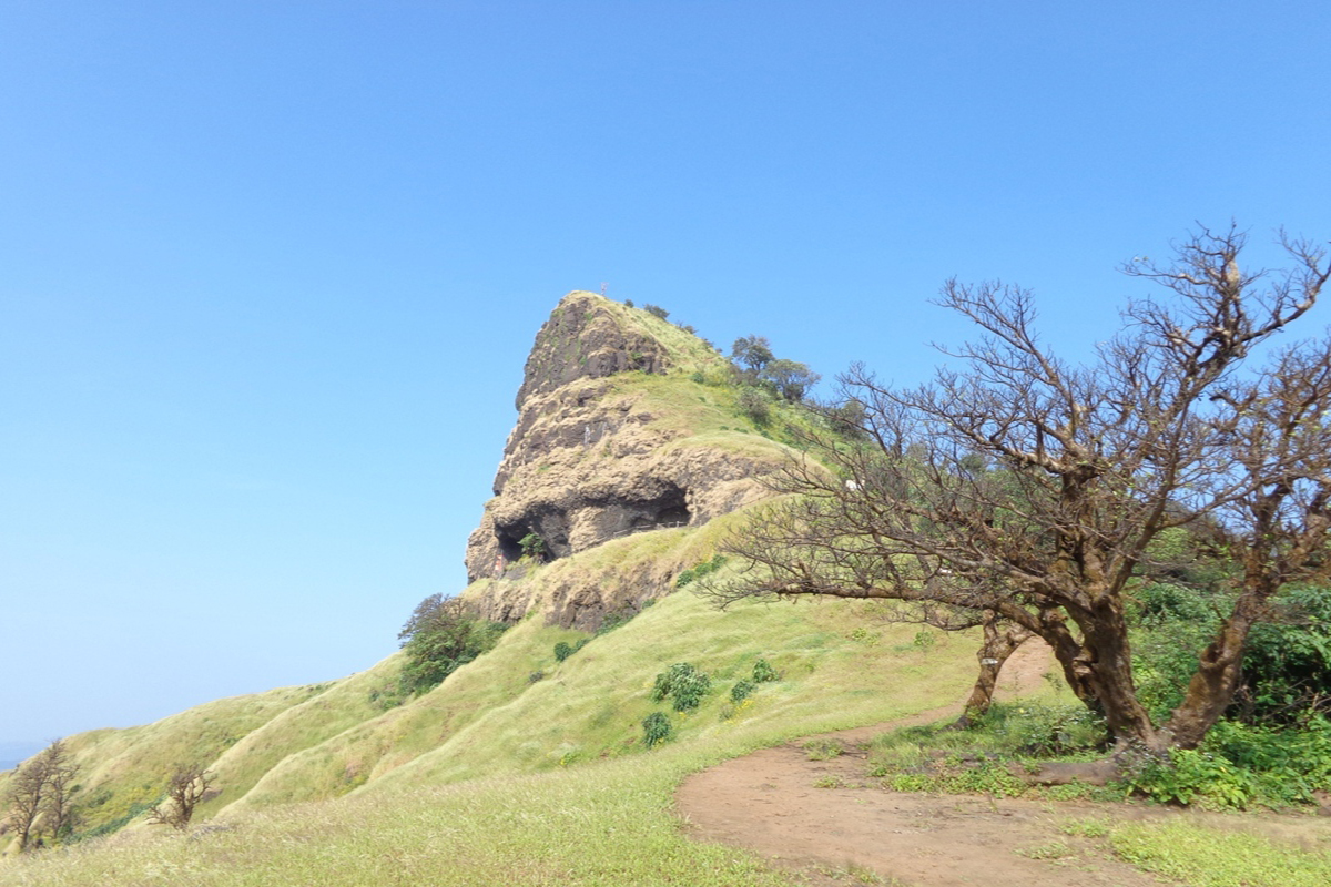 Vasota Fort online booking